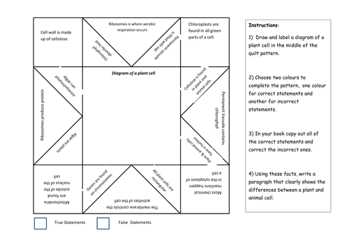 NEW 2018 BIOLOGY Plant and Animal Cells - Correct the Mistakes