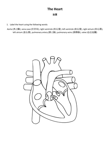 docx, 258.22 KB