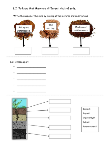 Soils worksheet | Teaching Resources