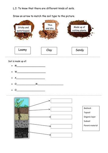 Soils worksheet | Teaching Resources