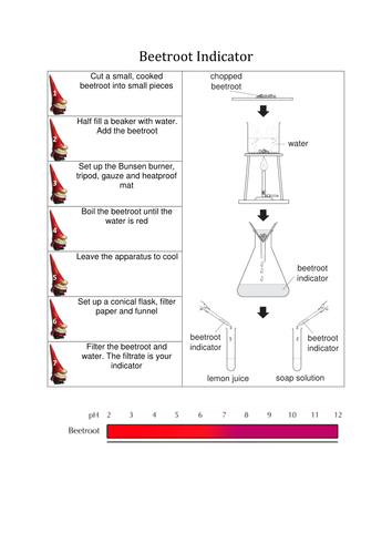 Gnomeo and Juliet Science - What are Acids?