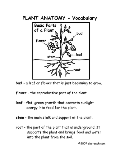 pdf, 127.5 KB