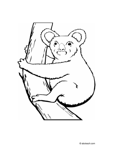 Coloring Page: Koala | Teaching Resources