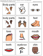 Flashcards: Body Parts | Teaching Resources