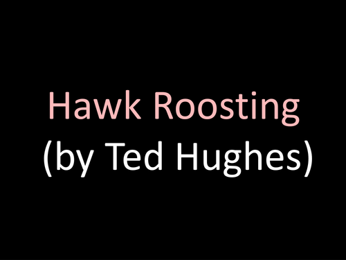 Hawk roosting ted hughes essay