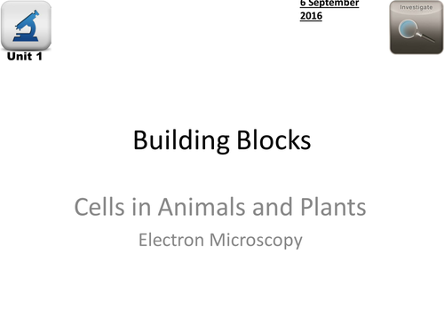 AQA Biology - L3 Microscopes