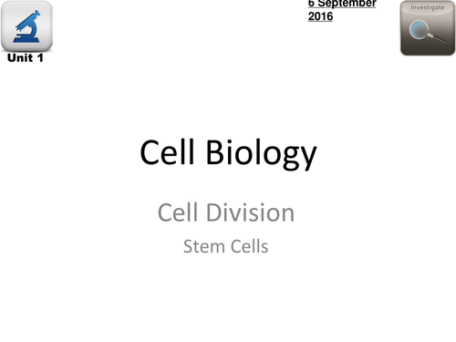 AQA Biology - L8 Stem Cells