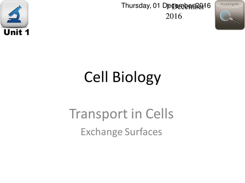 AQA Biology - L12 Exchange Surfaces