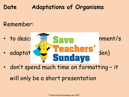 Adaptations KS2 Lesson Plan and Worksheet | Teaching Resources