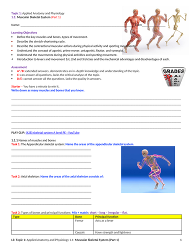 A-level PE EDEXCEL (Spec 2016)  1.1: Muscular Skeletal System (Part 1)