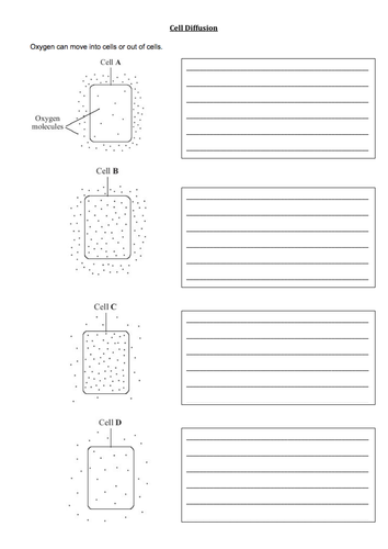 ks3 cells organisation 12 13 diffusion teaching resources