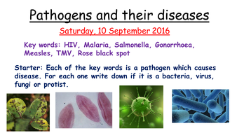 Communicable diseases- New AQA Biology GCSE (1-9) | Teaching Resources