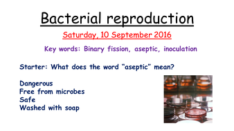 Bacteria biology definition picture