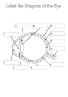 Four Human Biology Diagrams to Label - Heart, Lungs ... label the eye diagram answers 