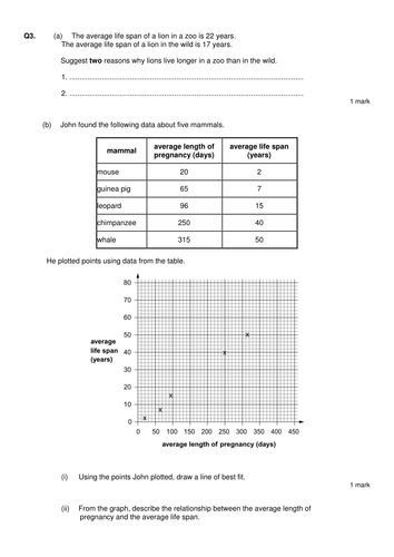 docx, 155.68 KB