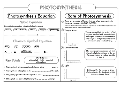 photosynthesis high school worksheet
