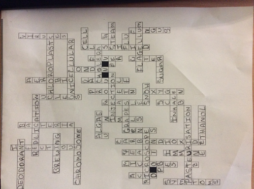 Microbes Crossword and Answer