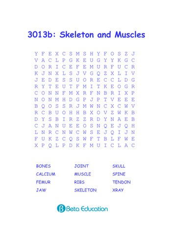 Human Body: Skeletons and Muscles | Teaching Resources