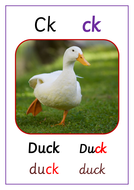 Digraph flashcards - wh ph sh ch th ng and ck | Teaching Resources