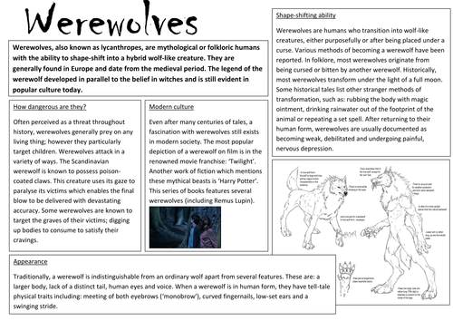 Example of a Non-Chronological Report by RoseWade - Teaching Resources ...