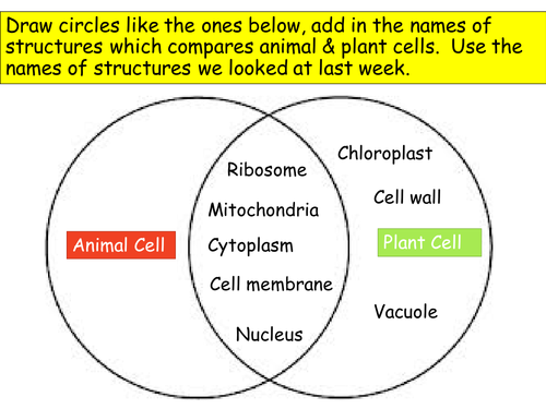 Cell Biology - New AQA GCSE Trilogy (Biology) | Teaching Resources