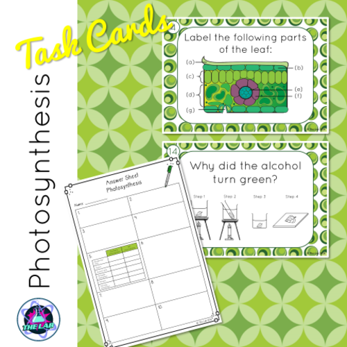 Photosynthesis Task Cards