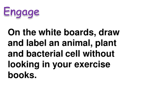 Edexcel (New 9-1) Topic 1 - L2 Specialised Cells and Fertilisation