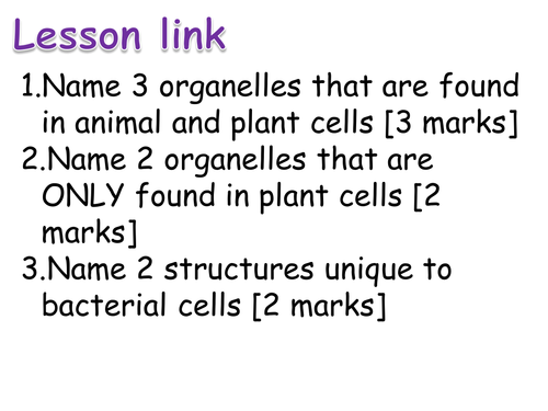 Edexcel (New 9-1) Topic 1 - L3 Using Microscopes CORE PRACTICAL