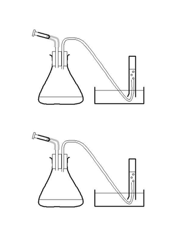 Edexcel (New 9-1) Topic 1 - L5 & L6 Enzymes CORE PRACTICAL