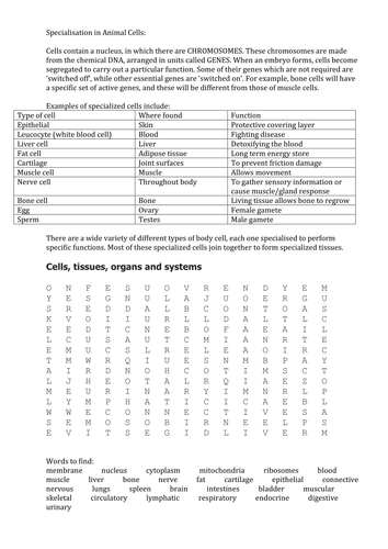 Introduction to cell specialisation, tissues, organs and systems