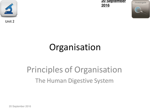 AQA Biology 4.2- L1 Digestive System