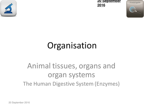 AQA Biology 4.2 - L2 Lock and Key Models