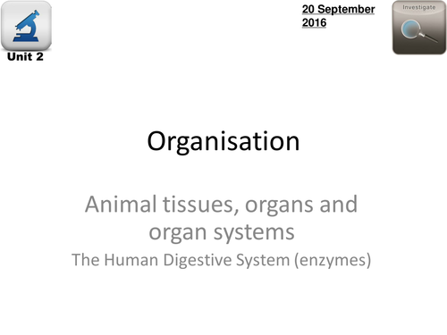 AQA Biology 4.2 - L4 Temperature & Enzymes