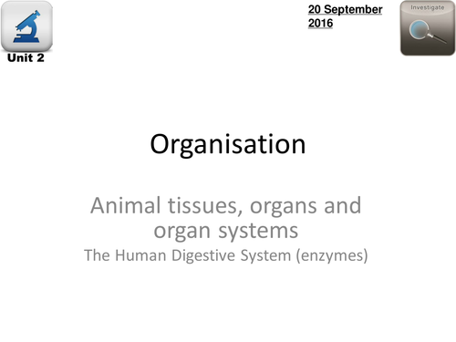 AQA Biology 4.2 - L5 pH & Enzymes