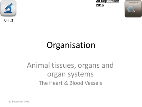 AQA Biology 4.2 - L7 The Heart & Circulation