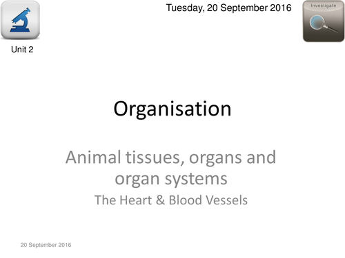 AQA Biology 4.2 - L8 Blood Vessels