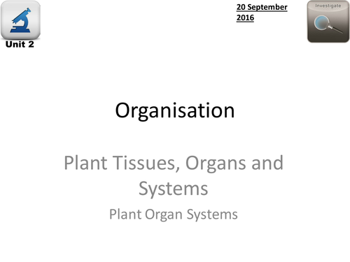 NEW AQA Biology - 4.2 Organisation Complete Unit | Teaching Resources