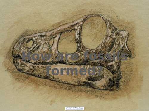 dinosaurs and fossils ks2