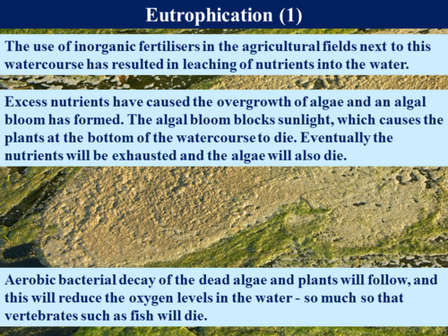 3.5.4 The Phosphorus Cycle | Teaching Resources