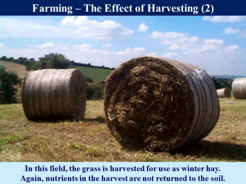3.5.4 The Phosphorus Cycle | Teaching Resources