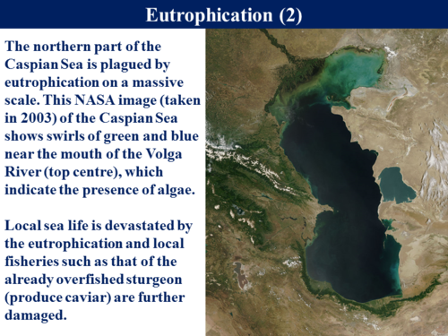 3.5.4 The Phosphorus Cycle | Teaching Resources