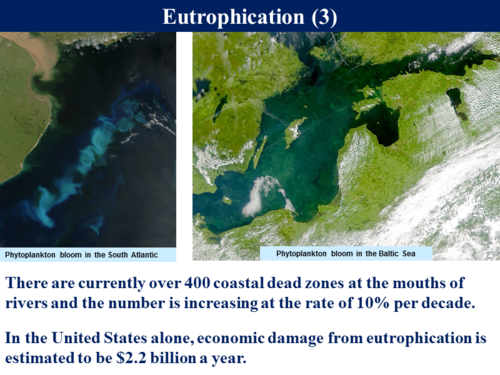3.5.4 The Phosphorus Cycle | Teaching Resources