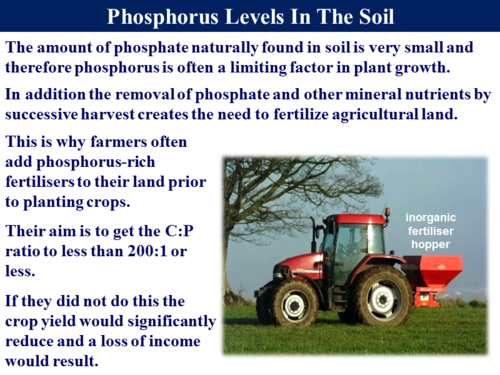 3.5.4 The Phosphorus Cycle | Teaching Resources