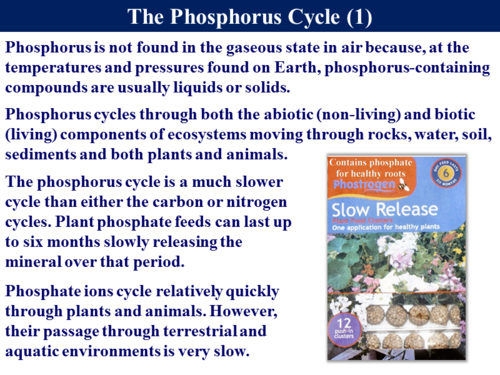 3.5.4 The Phosphorus Cycle | Teaching Resources