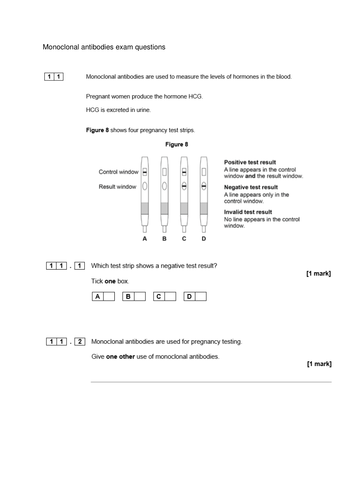 docx, 163.5 KB