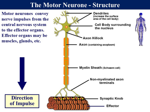 JPG, 125.35 KB