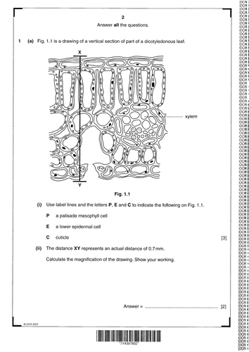 Section 2. Cells. 3.5 Cell specialisation and organisation NEW Year 12 ...