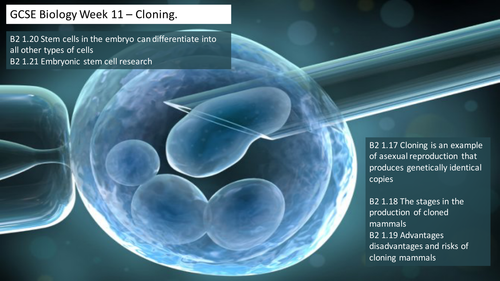 GCSE Cloning