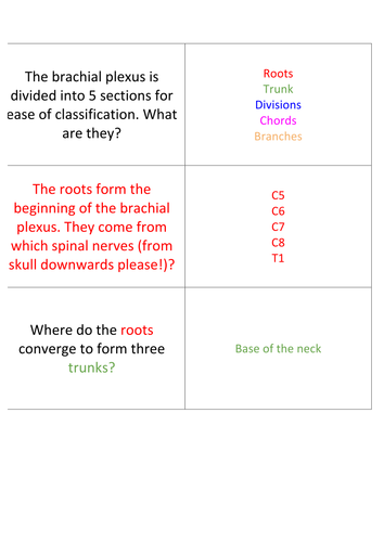 Nerves. Brachial Plexus revision cards