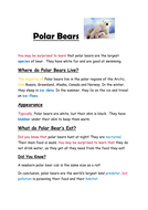 Year 3 Non-Chronological Reports Linked to Polar Climates (Polar Bears ...